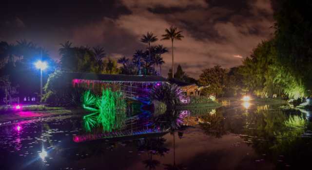Jardín Botánico dará un espectáculo nocturno totalmente gratis