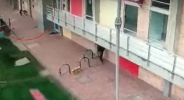 Estudiante de 14 años fue apuñalada con unas tijeras al interior de un colegio en Bogotá