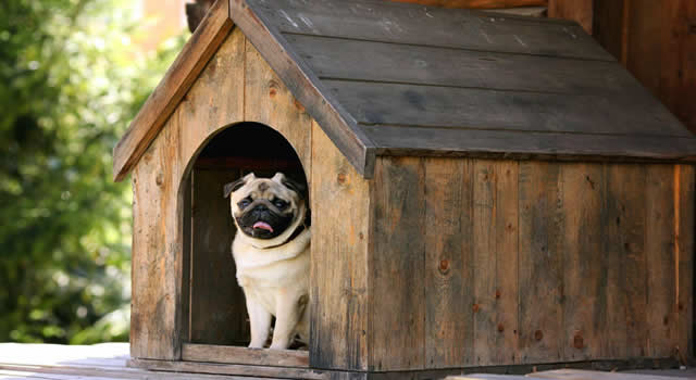 Casas para perros