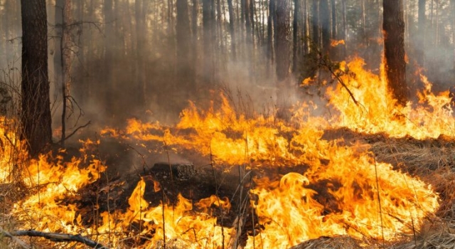 Riesgo de incendios forestales por fenómeno del niño en Cundinamarca