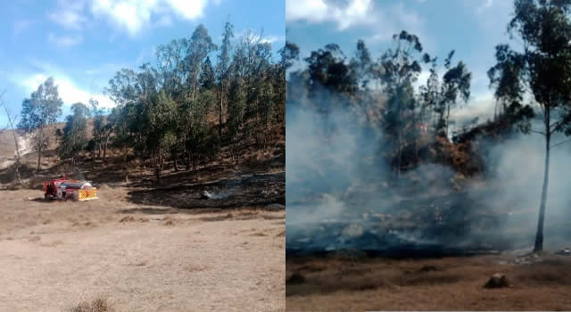 Incendio forestal se presentó en Ciudad Verde