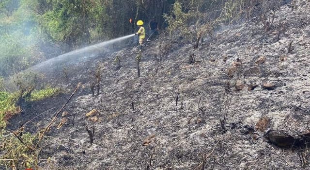incendio forestal en el municipio de Ricaurte