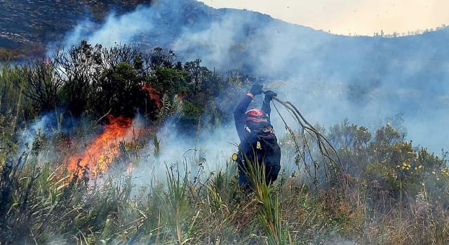 incendio de cuatro días en el Parque Natural El Valle