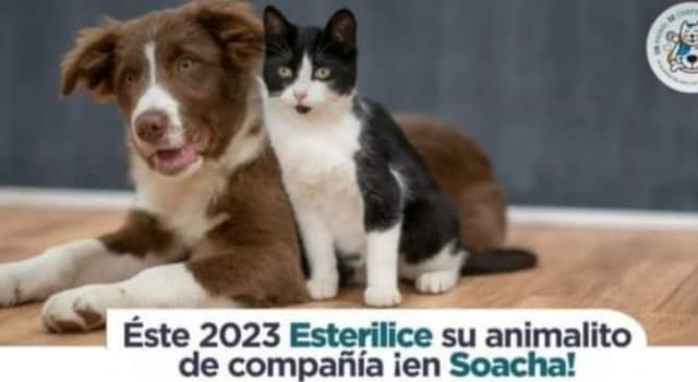 Jornada de vacunación y esterilización para mascotas en Soacha