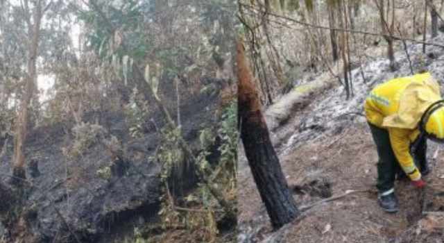 control de incendios forestales en Bogotá