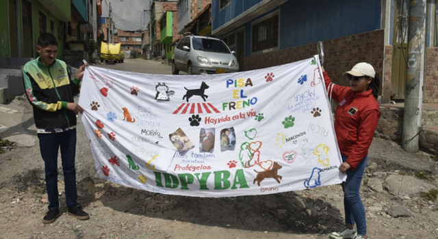 Campaña para proteger la vida de perros de calle en Ciudad Bolívar