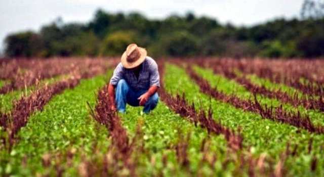 Se realiza Taller de Transferencia Tecnológica Agropecuaria en Cundinamarca
