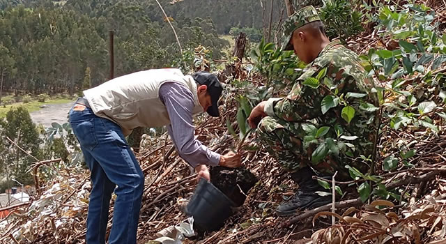 Asocolflores realizó jornada de restauración de especies nativas en Nemocón, Cundinamarca