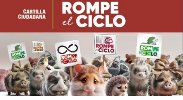 Campaña 'Rompe el Ciclo' busca prevenir la tenencia de mascotas no convencionales