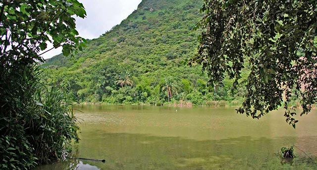 Reforestación en Apulo, Cundinamarca,  previene riesgos ambientales