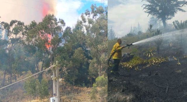 Incendio en al montaña de San Mateo causó preocupación en los residentes