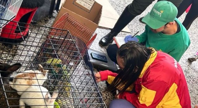 Rescataron animales que eran comercializados en la Plaza del Restrepo