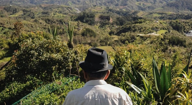 Mejoras en el sector agropecuario, un avance en la dignidad del campesino