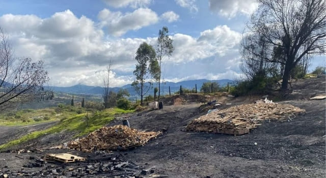 Desmantelaron una operación ilegal de extracción de carbón vegetal en la vereda Chacua