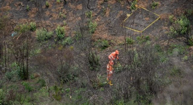 Continúa la restauración de parques afectados por incendios en Bogotá