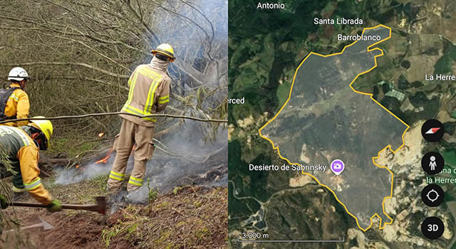 1.200 hectáreas se quemaron en el incendio de Bojacá y Mosquera, en Cundinamarca