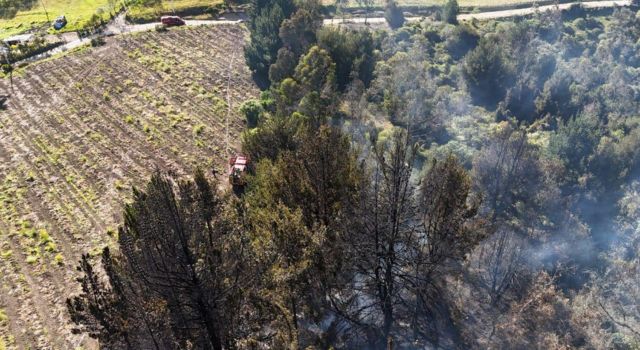 Incendio forestal en la vereda Quiba Baja dejó preocupación en los habitantes