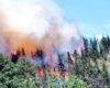 incendios forestales en las veredas Barroblanco y Curubital afectó el municipio de Bojacá