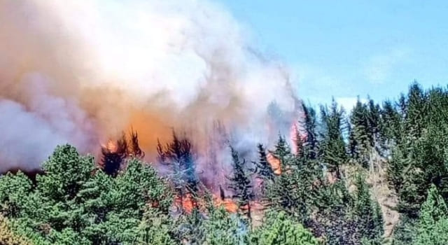 incendios forestales en las veredas Barroblanco y Curubital afectó el municipio de Bojacá