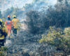 Bomberos atienden incendios en Bogotá