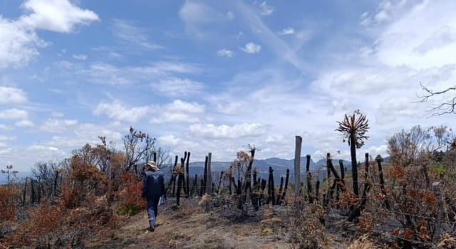 Incendio forestal en Simijaca dejo grandes daños