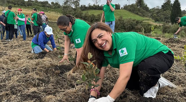 Sembratón de árboles nativos en Cundinamarca para recuperar bosque andino