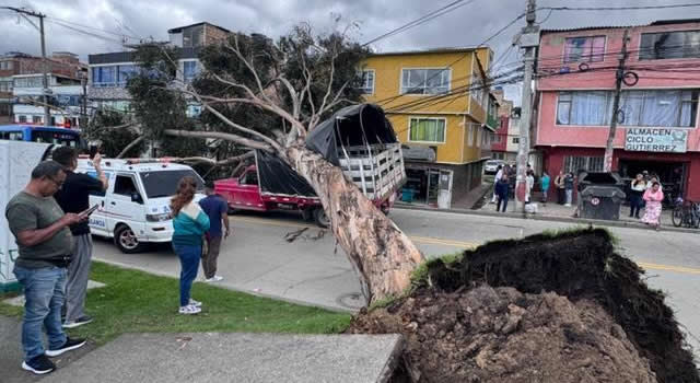 No para la caída de árboles en Bogotá, carrocería de un camión resultó aplastada