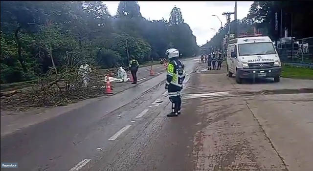 Árbol le cayó encima a una motociclista, la mujer falleció en la autopista Norte de Bogotá