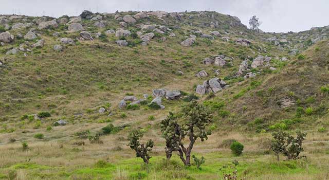 CAR lanza plan para salvar ecosistema en Soacha, es uno de los pocos que queda en Colombia