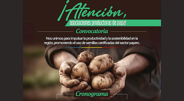 Atención productores de papa de Cundinamarca, este lunes cierra convocatoria para recibir semilla certificada e insumos