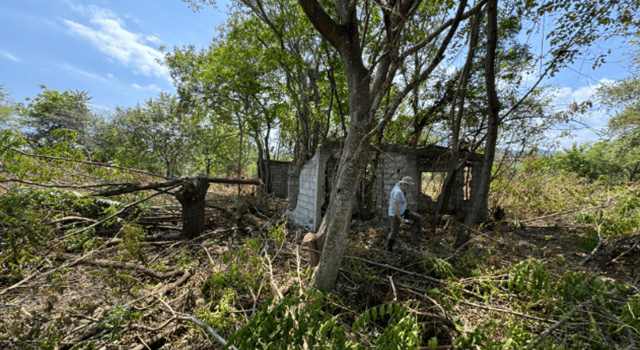 La Corporación Autónoma Regional de Cundinamarca inició un proceso sancionatorio tras detectar la tala de árboles nativos y la rocería en un área protegida, promoviendo la preservación de este ecosistema estratégico.