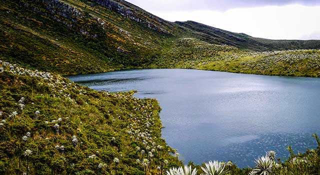 Corredor de Páramos, un proyecto clave para ordenar el territorio en torno al agua en la Región Central