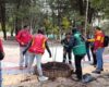 Tras tres meses de intervención liderada por el Distrito, el Parque Nacional de Bogotá cuenta con nuevas especies de árboles, jardines biodiversos y mejoras en el suelo.