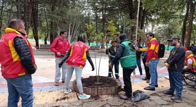 Tras tres meses de intervención liderada por el Distrito, el Parque Nacional de Bogotá cuenta con nuevas especies de árboles, jardines biodiversos y mejoras en el suelo.