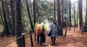 La Alcaldía y el Acueducto de Bogotá anunciaron el cierre temporal de varios senderos ecológicos para prevenir incendios ante las altas temperaturas.