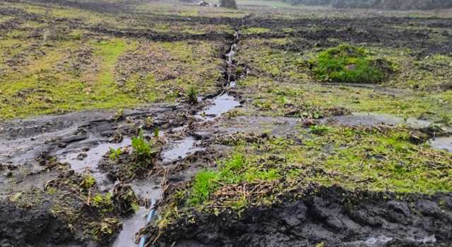 La Corporación Autónoma Regional de Cundinamarca impuso medidas preventivas en tres casos de afectación al recurso hídrico en La Calera. Estas acciones buscan proteger las fuentes de agua.