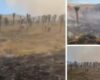 Un incendio de gran magnitud amenaza el ecosistema del páramo de La Cortadera, afectando frailejones y fuentes de agua esenciales. Las autoridades luchan contra las llamas con apoyo terrestre y aéreo.