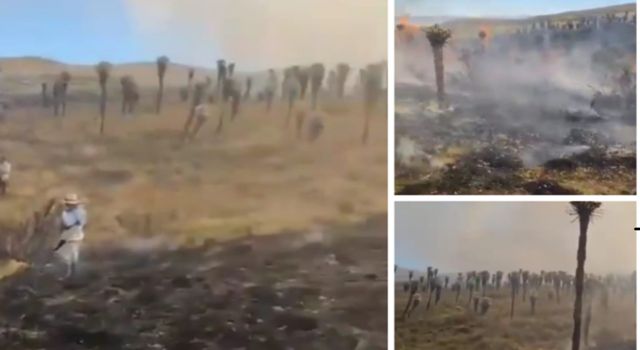 Incendio en el páramo de La Cortadera en Boyacá, afecta más de 200 hectáreas