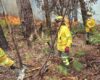 Una quema forestal registrada en la calle 170 con carrera séptima fue atendida por el Cuerpo Oficial de Bomberos, que logró controlar el 80% de la emergencia con apoyo de drones y equipos especializados.