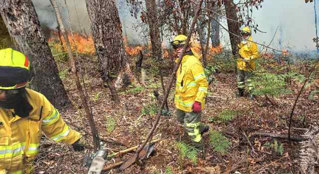 Una quema forestal registrada en la calle 170 con carrera séptima fue atendida por el Cuerpo Oficial de Bomberos, que logró controlar el 80% de la emergencia con apoyo de drones y equipos especializados.