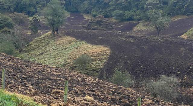 La Corporación Autónoma Regional de Cundinamarca CAR suspendió cultivo de papa en zona protegida de Cogua, debido a la afectación que se estaba generando en una fuente hídrica.