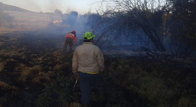 La Corporación Autónoma Regional de Cundinamarca (CAR) alertó sobre las graves consecuencias ambientales y legales de encender fogatas en áreas protegidas. Las multas podrían alcanzar hasta 1.000 salarios mínimos.