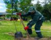 Con un enfoque en arborización, mantenimiento y bosques urbanos, la ciudad avanza hacia una mayor sostenibilidad ambiental y calidad de vida para sus habitantes.