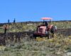 La CAR confirmó la tala de 247 frailejones en una reserva natural de Saboyá, Boyacá, tras una denuncia ciudadana. Se investiga la relación de estos hechos con la expansión agrícola en la zona.