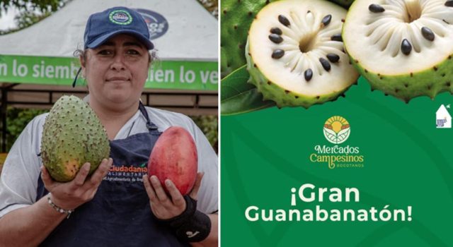 Este 22 y 23 de febrero, los Mercados Campesinos de Bogotá ofrecerán guanábanas y otros productos frescos directamente de productores rurales, promoviendo el comercio sin intermediarios y el consumo local.