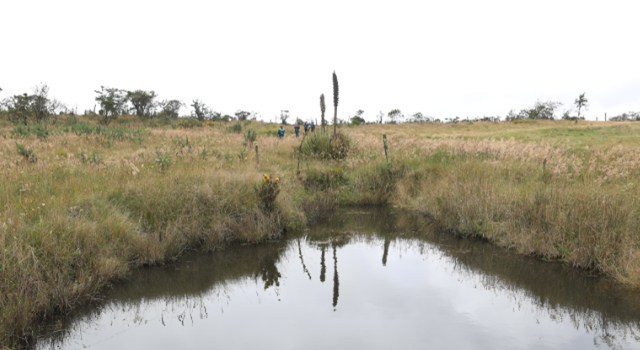 En el Día Mundial de los Humedales, la CAR anunció una inversión de $1.700 millones en 2025 para la recuperación de humedales en Cundinamarca, específicamente en 12 municipios.