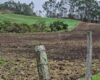 La CAR impuso medidas preventivas en tres predios donde se aplicaban fungicidas que afectaban los nacimientos de agua. Se implementarán acciones de restauración ambiental en la zona.