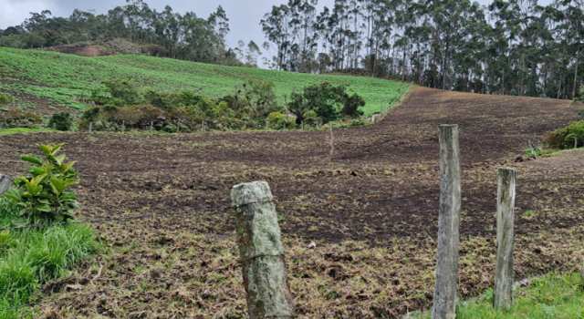 La CAR impuso medidas preventivas en tres predios donde se aplicaban fungicidas que afectaban los nacimientos de agua. Se implementarán acciones de restauración ambiental en la zona.