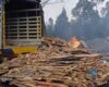 La CAR impuso una medida preventiva en la vereda La Chacua, en Soacha, para frenar la producción ilegal de carbón vegetal. La actividad generaba contaminación y afectación al medio ambiente.