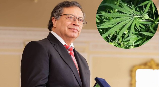 Petro pidió legalizar la marihuana, señalando que la prohibición de esta sustancia genera violencia, por lo que reiteró su llamado para regular el uso de la hoja de coca con fines distintos a la producción de cocaína.